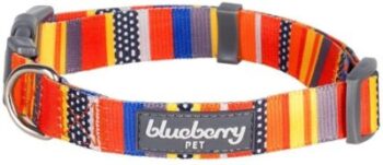 Collare per cani - Blueberry Pet 6