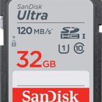 Scheda di memoria SDHC SanDisk Ultra 32GB 10