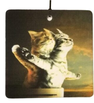 AAF Titanic Kittens - Deodorante per auto 5
