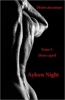 Unknown Desires: Volume 1: Captive Desire di Ayleen Night (Paperback) 26