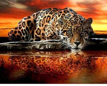 Qingdewan Tiger Sunset - 1000 pezzi 16