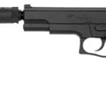 Doppia Aquila Airsoft-pistola a proiettile 10