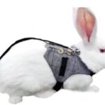 Imbracatura per costume da coniglio 12