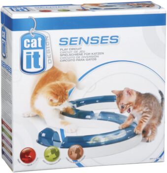 Cat it senses play circuit 7