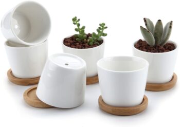 Set di 6 piccoli vasi di ceramica con vassoio di bambù 26