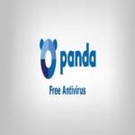 Panda Security 12