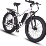 bici elettrica ride66 RX02 13