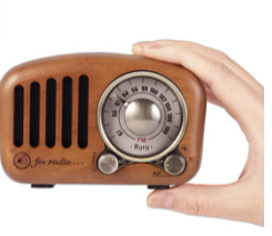 Radio portatile ricaricabile PRUNUS J-919 26