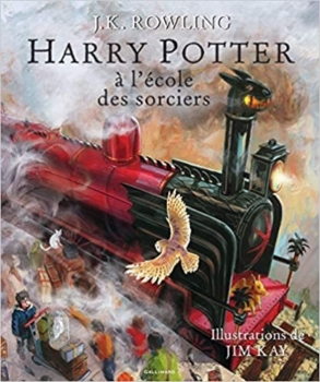 Harry Potter e la pietra filosofale - Bellissimo libro da collezione 5