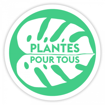 Plante Pour Tous - Il centro di giardinaggio a basso costo 2